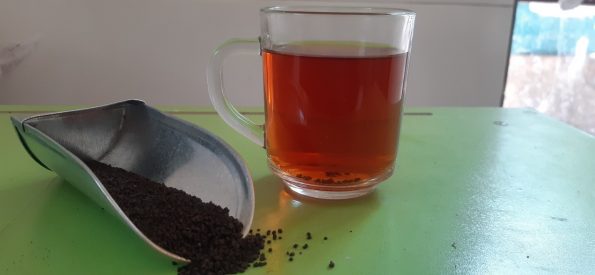 چای-کله-مورچه-کنیا